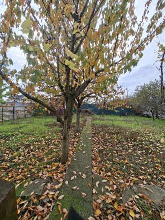 Продам дачный участок с домиком в пригороде Черноморска - фото 1