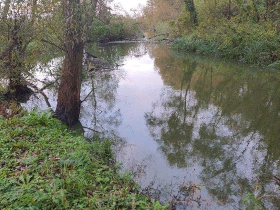 Продаж будинку
 мальовничому куточку міста на березі Конотоп