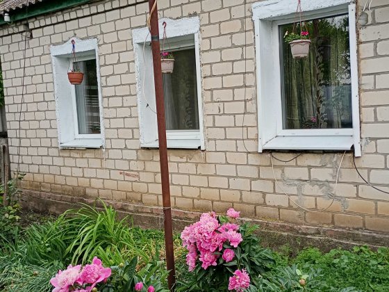 Продається будинок село Петрівка Берестинського району Берестин
