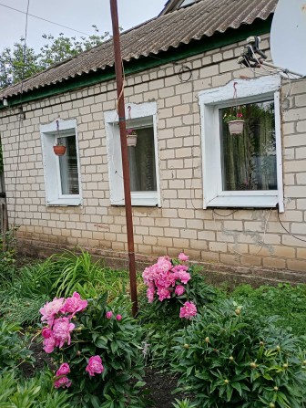 Продається будинок село Петрівка Берестинського району - фото 1