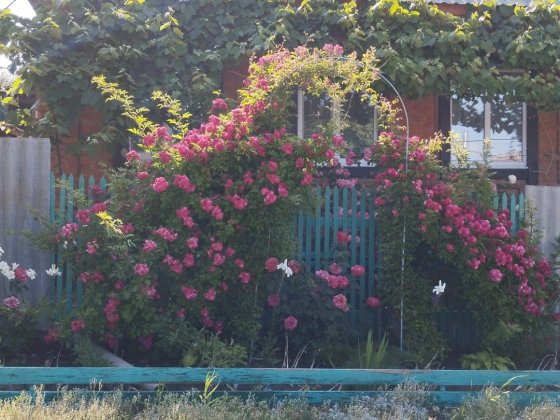 Продаю  свій будинок Лозова