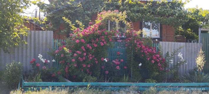 Продаю  свій будинок - фото 1