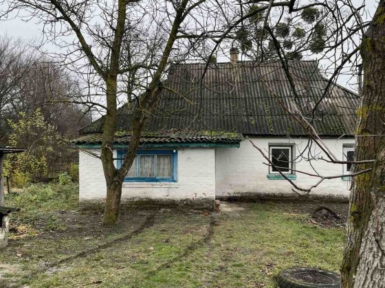 Будинок Лубенський район Лубни