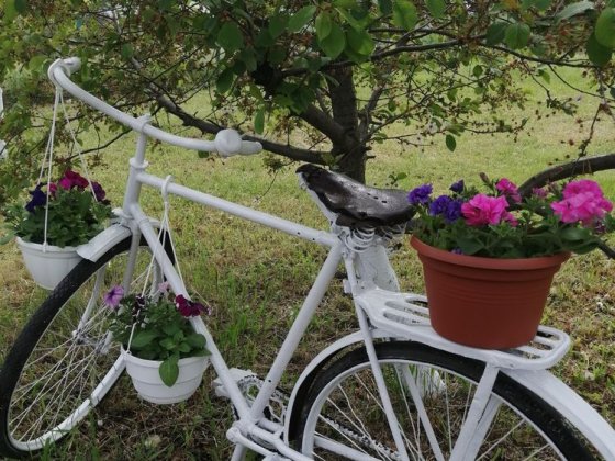 Дача,затишне гніздечко,більше подробиць по тел. Павлоград