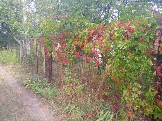 Продам дачу, общество Рассвет, пос. 40 лет, ул. Строительная Павлоград