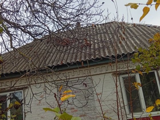 Продам будинок в селі Подорожнє Светловодск