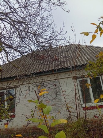 Продам будинок в селі Подорожнє - фото 1