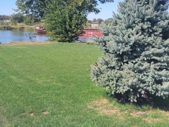 Продам Дім Ділянка Річка Самар