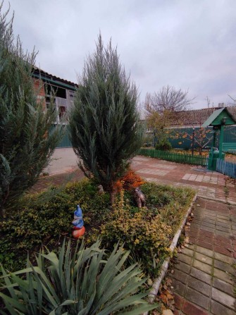 Продам дом Чугуев - фото 1