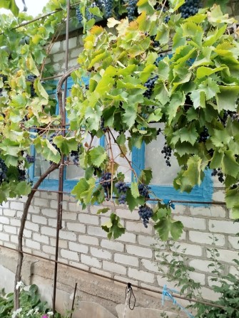 Продам дачу в Бугском - фото 1