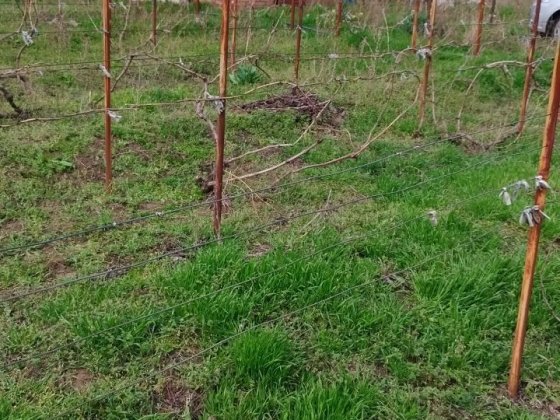 Продается дача на 3 участке Никополь