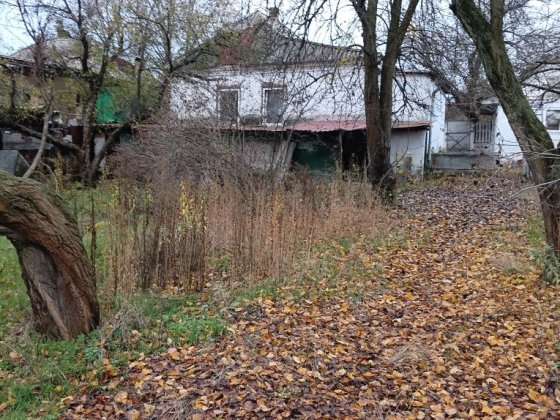 Дом Диёвка 2 , ,вул. Професиональна . Старые Кодаки