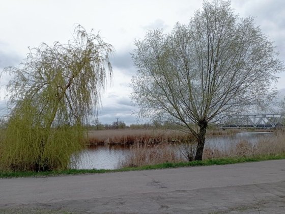 Продам дачу в Подгородном первая линия от реки ,пляж рыбалка Підгородне