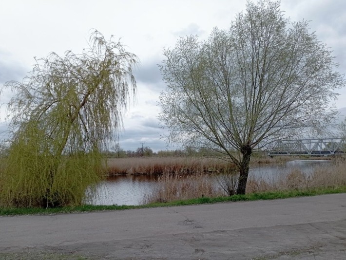 Продам дачу в Подгородном первая линия от реки ,пляж рыбалка - фото 1