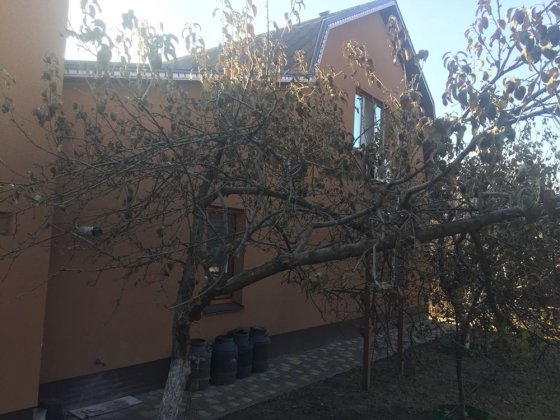 Дом в центре Тернівка