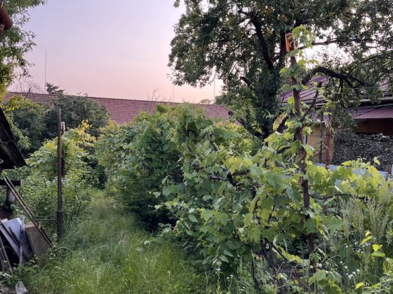 Продаж будинку в історичному центрі, ідеально під бізнес Соломонове