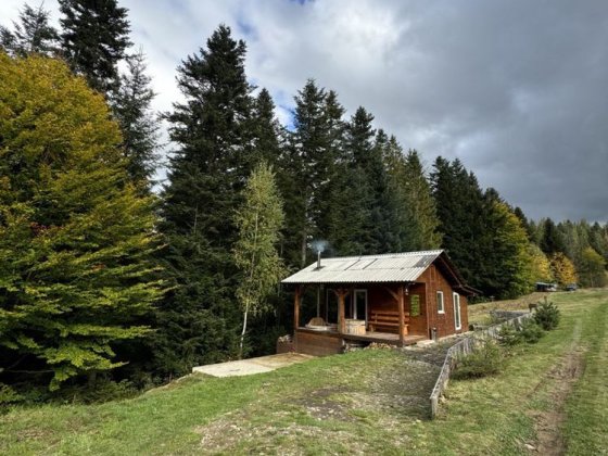 Ділянка з будинком і готовим бізнесом біля лісу Микуличин