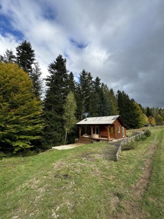 Ділянка з будинком і готовим бізнесом біля лісу - фото 1