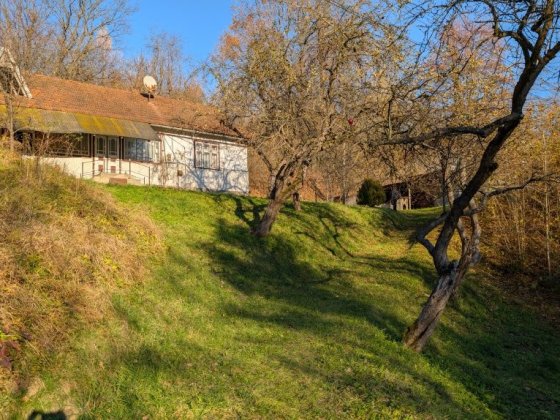 Жилий будинок на околиці м. Косів із господарськими будівлями Косов