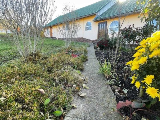 Садиба з власним ставом у м.Тлумач Тлумач