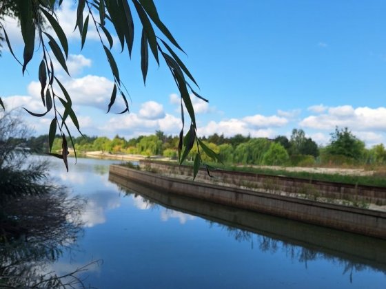 Затишний будинок на березі озера Вишеньки