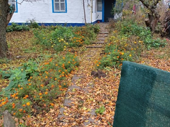 Будинок ,с.Фарбоване 10км від Яготина Яготин