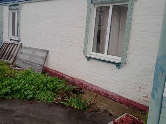 Продаж будинку в бориспільский р ,с Райківщина Яготин