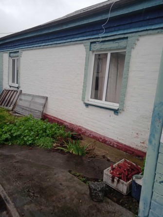 Продаж будинку в бориспільский р ,с Райківщина - фото 1