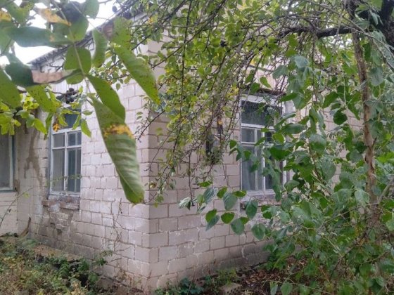 Продам будинок 150 км від столиці Тетиев