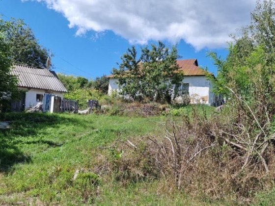 Продам житловий  будинок Тараща