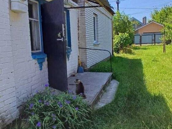 Продаж частини будинку біля Києва Дмитровка