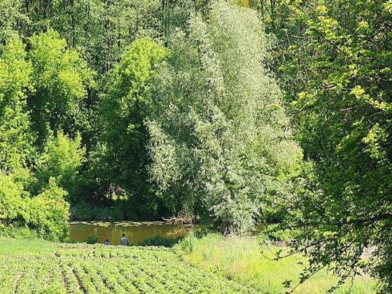 Терміново в зв'язку з від'їздом Продаю дом на берегу озера Музичі