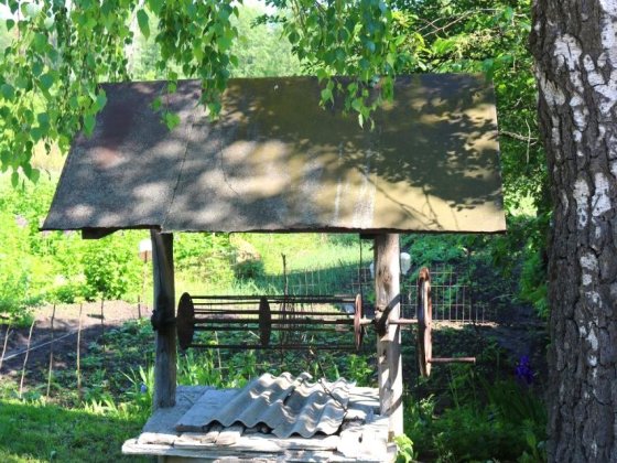 Старый дом с участком на берегу озера Музичі