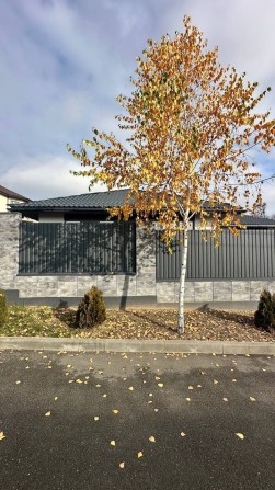 Продаж будинку на 7.5 сотках, газ, гараж, Михайлівка-Рубежівка - фото 1