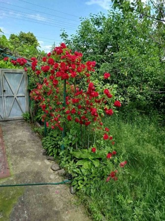 Продаж будинку Старі Петрівці- Оболонь,Виногоадар 15 хв. - фото 1