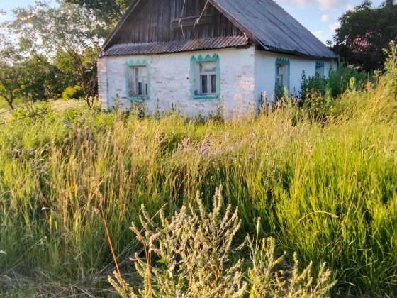 Продам дім і ділянки Ясногородка