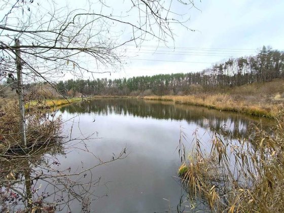 Продам будиночок неподалік є озера та ліс.Від Києва 25км. Ясногородка