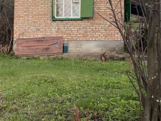 Продаж дачі с.Підгайці Підгайці