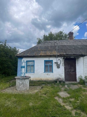 будинок пів будинку - фото 1
