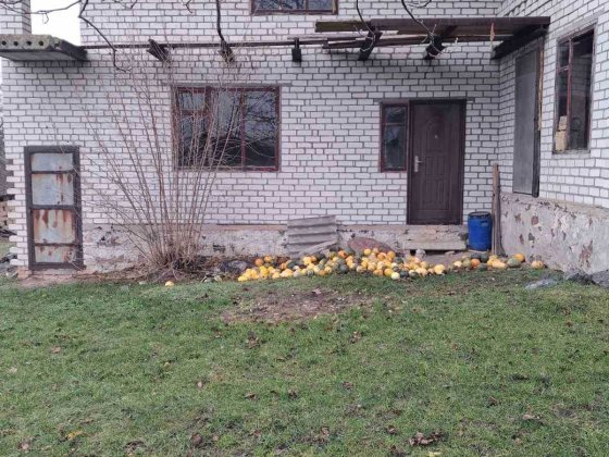 Продається будинок Новомиргород