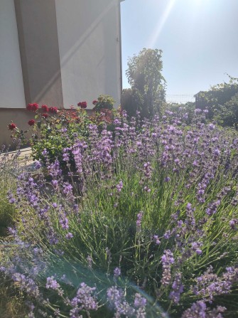 Назвичайно зручне розташування теплого автономного будинку м. Львів - фото 1