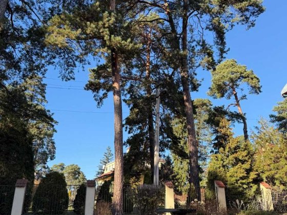 Продаж будинку у Брюховичах поблизу соснового лісу і озер Брюховичі