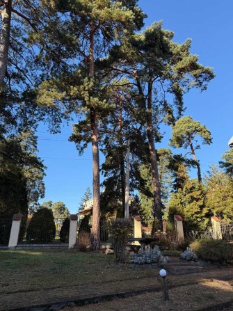 Продаж будинку у Брюховичах поблизу соснового лісу і озер - фото 1