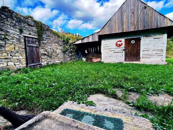 Мальовнича украінська хатина.Бізнес ідея для відпочинку. Земля в горах Сходница