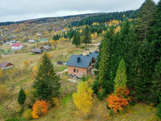 Будинок в Карпатах серед лісу / Східниця / Львів Сходница