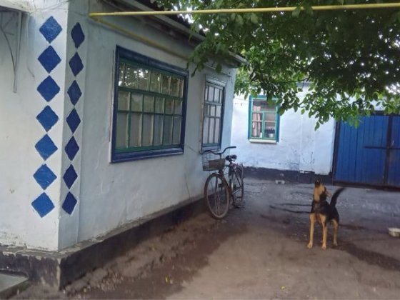 Продається будинок Новый Буг