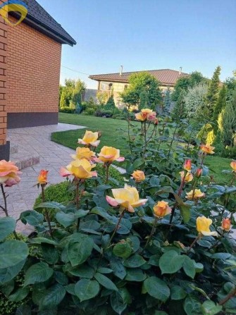 Откройте дверь — и почувствуйте, как жизнь наполняется светом. - фото 1