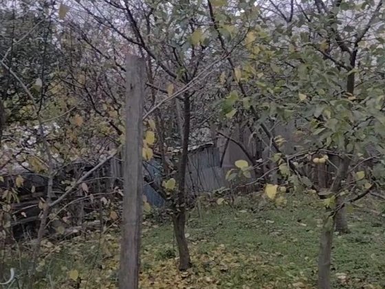 Продам дом на Слободке Нерубайське