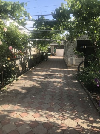 Продається два будинки на одній ділянці - фото 1