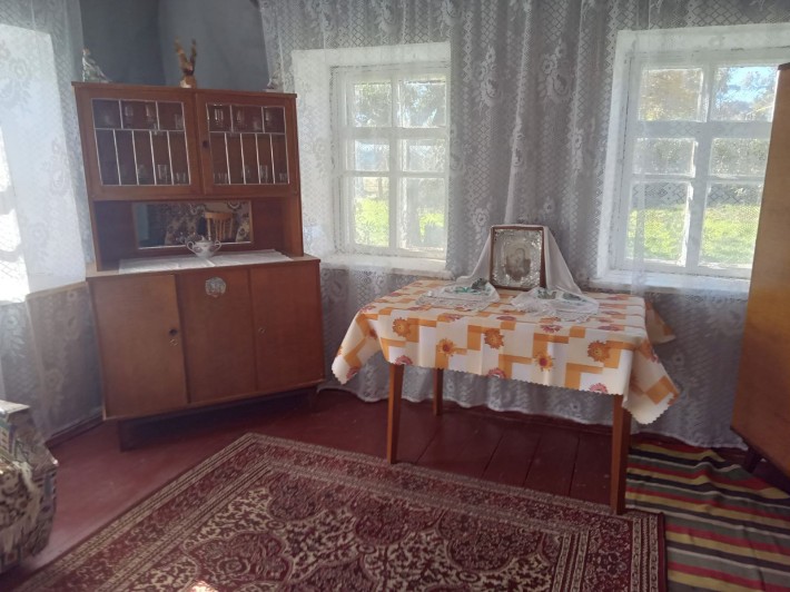 Продам будинок за Одесою Камянка - фото 1